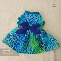 2 kg cat frock_img_0