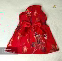 2 kg cat frock_img_0