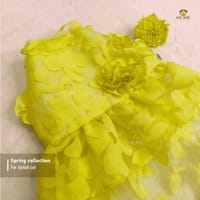 2.3 kg cat frock_img_1