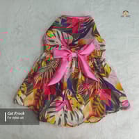 2.5 kg cat frock_img_0