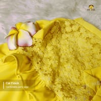 2.5 kg cat frock_img_1