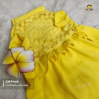 2.5 kg cat frock_img_2