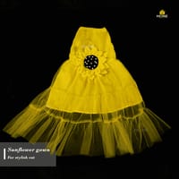 3.5 kg cat frock_img_0