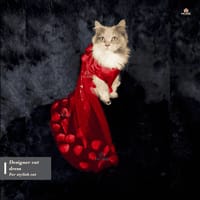 Flower gown (custome)_img_2