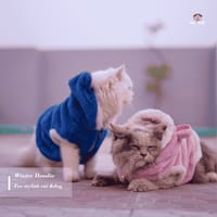 panda hoodie (3 kg)_img_3