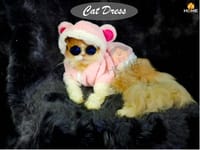 panda Hoodie custome_img_0