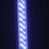 8W LED Bracket Light(28-37cm)💡_img_2