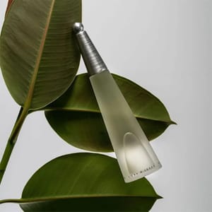 Issey Miyake L’eau D’issey EDT – 100ml_img_1