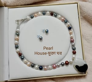 Pearl Multicolor Neckpiece_img_0