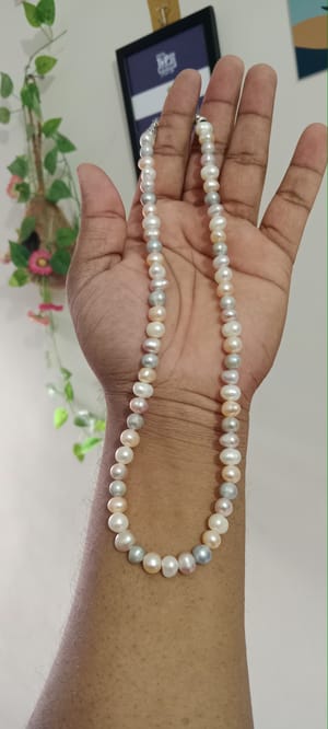 Pearl Multicolor 1 layer Necklace_img_1