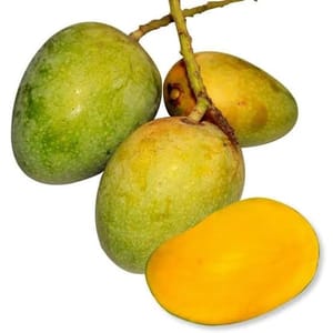 ল্যাংড়া আম_img_2