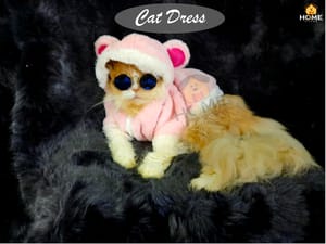 Cat panda hoodie 2.3 kg_img_0