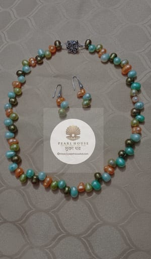 Multicolor Necklace_img_1