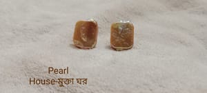 Mother Pearl Ear Top_img_1