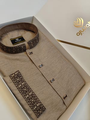 Majestic Embroidery Panjabi_img_1