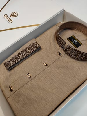 Majestic Embroidery Panjabi_img_2