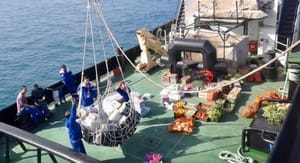 Provision Supply_img_1