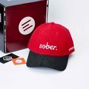 Episodes Sober Red Suede Cap_img_6