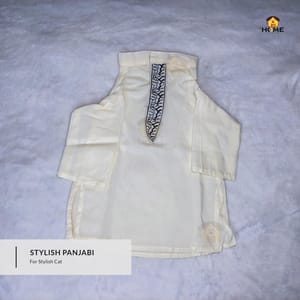 2.5kg cat panjabi_img_0