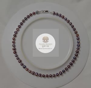 Exclusive Pearl 1 layer Necklace_img_0