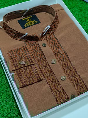 Premium Embroidery Punjabi (Brown)_img_2