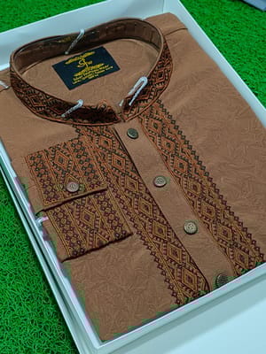 Premium Embroidery Punjabi_img_3