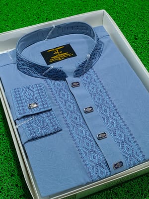 Premium Embroidery Punjabi_img_4