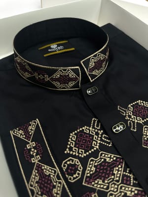 Darknight Majesty Embroidery Panjabi_img_1