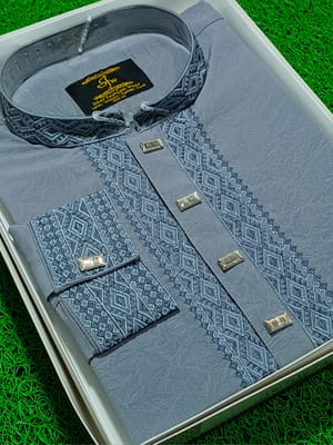 Premium Embroidery Punjabi_img_2