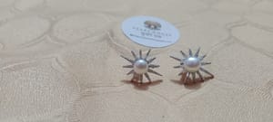 Star Shape Ear Ring_img_1