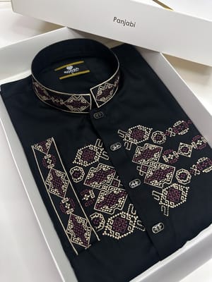 Darknight Majesty Embroidery Panjabi_img_0