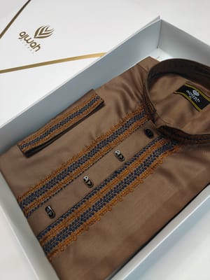 Ajwah Premium Brown Embroidery Panjabi_img_2