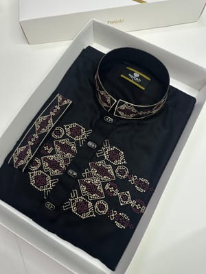 Darknight Majesty Embroidery Panjabi_img_2