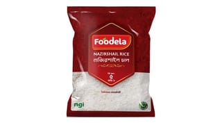 নাবিল চাইল (সবধরনের)