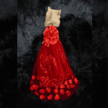 Flower gown (custome)