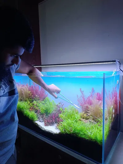From Tank to Nature