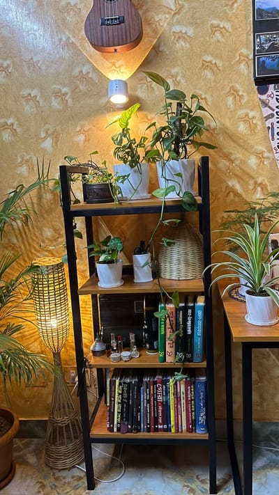 Home Organizer Shelve