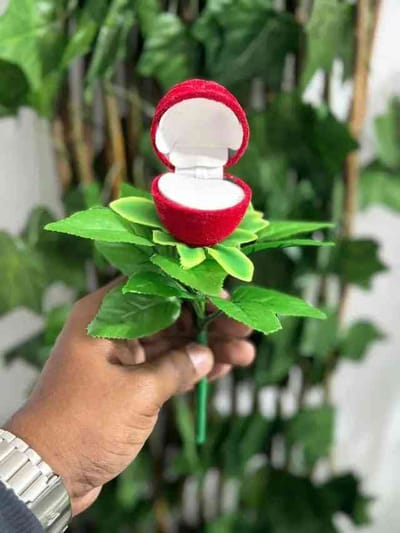 Rose Ring Box – Perfect Gift for Your Loved Ones