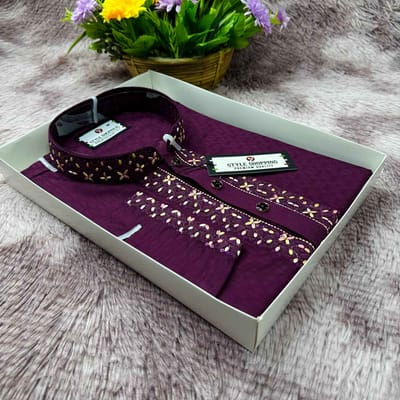 Embroidery Sequence Panjabi