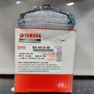 Back Light FZS- V4/Deluxe