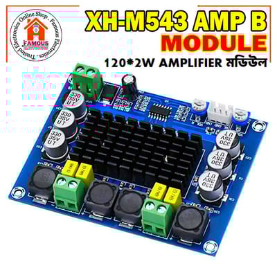 XH-M543 Dual Channel D-Class Digital Power Amplifier Board TPA3116D2 Audio Amplifier Module High Power 2*120W DC 12V-24V