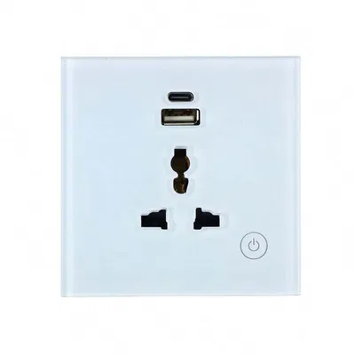 Tuya Smart WiFi Universal Wall Socket