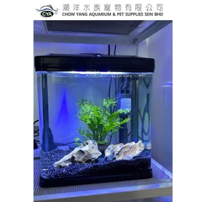 চায়না একুরিয়াম  ( ফিল্টার+লাইট)