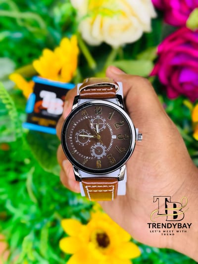 ⌚ CS Brown Classic Leather Watch