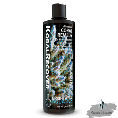 Brightwell Aquatics Koral Recover 250ml