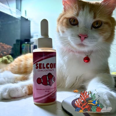 Selcon Concentrate 60ml
