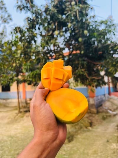 গোবিন্দভোগ আম