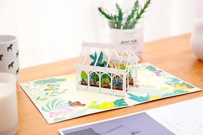 Pop-up Gift Cards + Premium Envelope