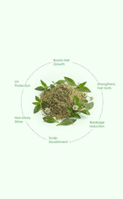 Lily Advanced Anti-Hair fall Serum Oil - Image 2