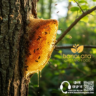 প্রাকৃতিক মধু ১ কেজি - Image 1